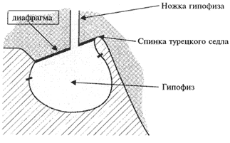 : http://inkat.ru/images/books/13/referat/5492-1.gif